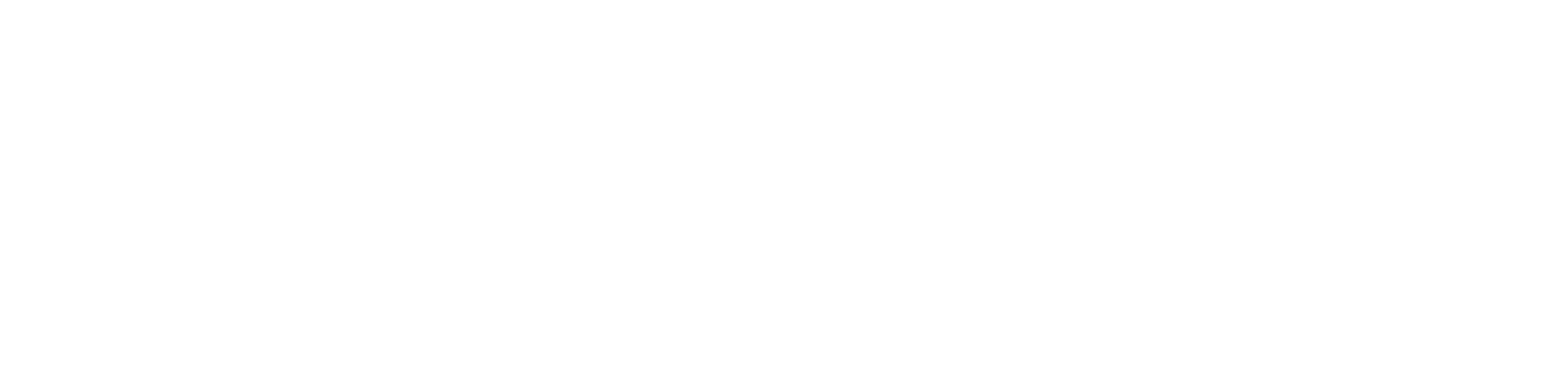 Logo Solvin